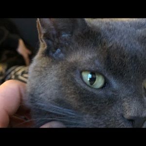 Meet your Posher, Maxx